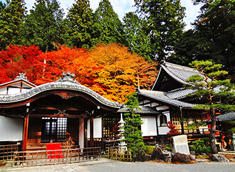 温泉寺